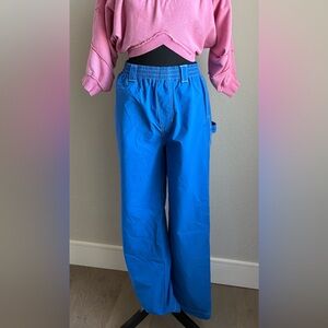 Urban Outfitters Royal Blue Utility Pants with Black Label